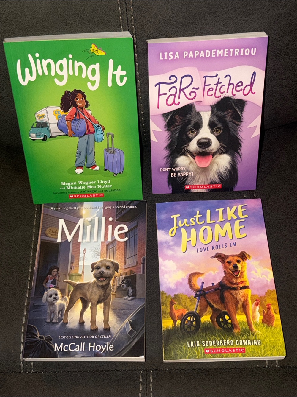 Girls Scholastic Accelerated Reader Bundle